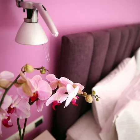 Hotel Seleni Suites Boutique Deluxe